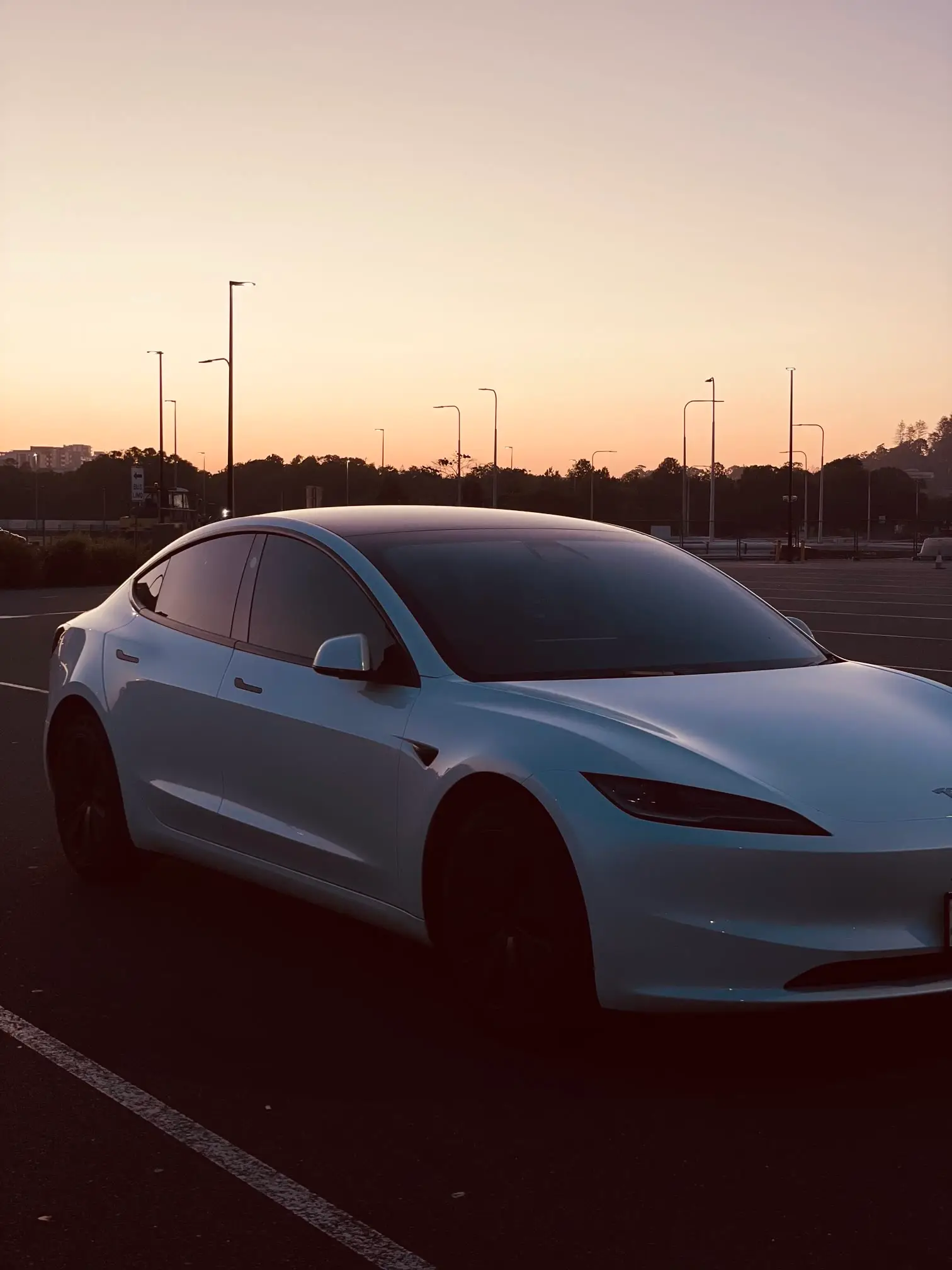 The 2024 Tesla Model 3 that runs every transfer — the owner's own photograph
